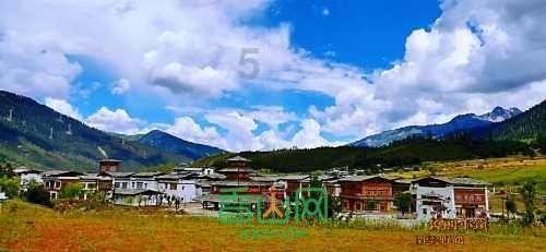 2块钱一斤的“它”,每天一颗,血管洗得干干净净,降血糖防血栓