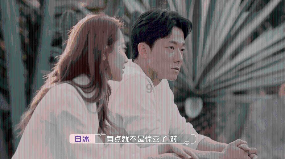 春雨直播app